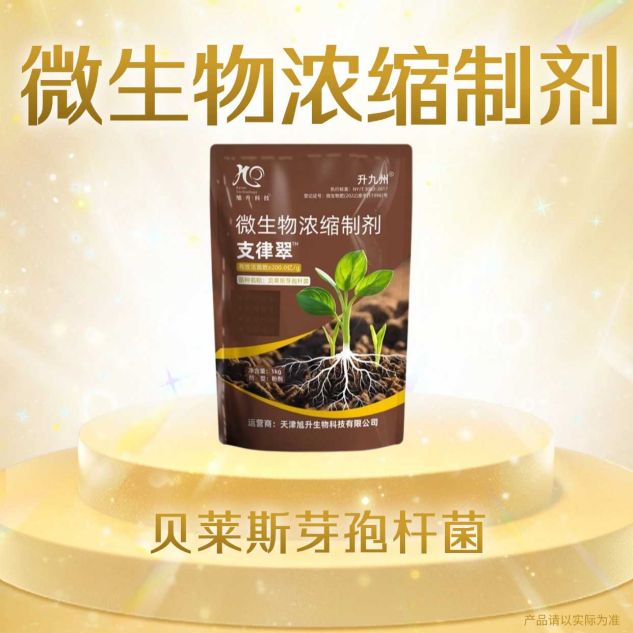 支律翠-天津旭升生物科技有限公司